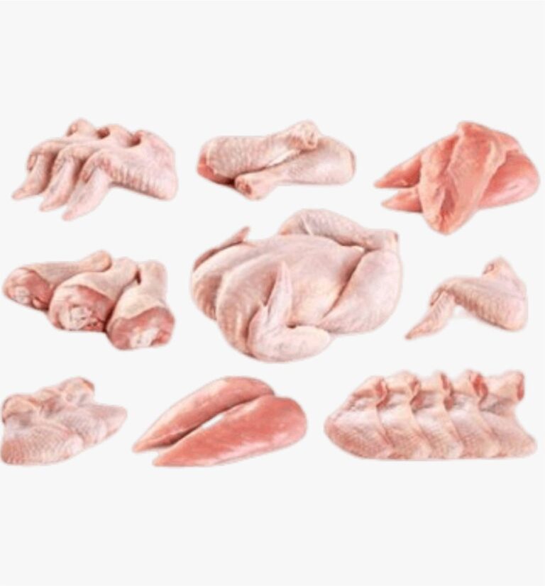 chicken 1